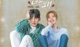 奇怪的搭档韩剧网在线观看,韩剧网独家在线观看，携手探索神秘搭档之谜